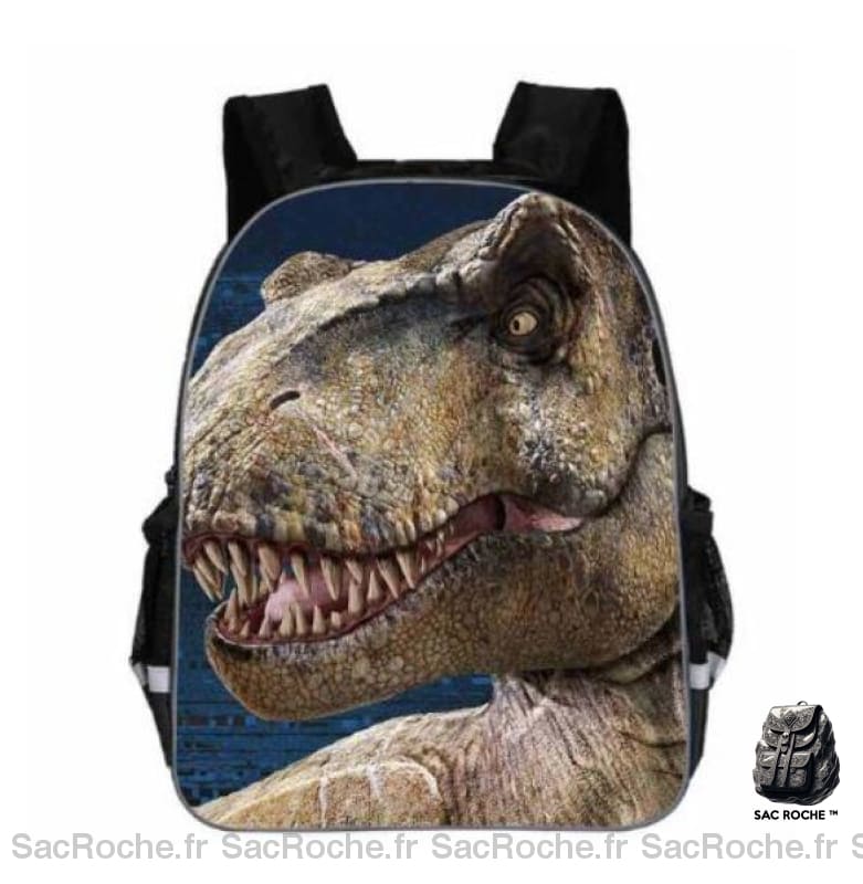 Sac À Dos Dinosaure Pour Garçon Enfant