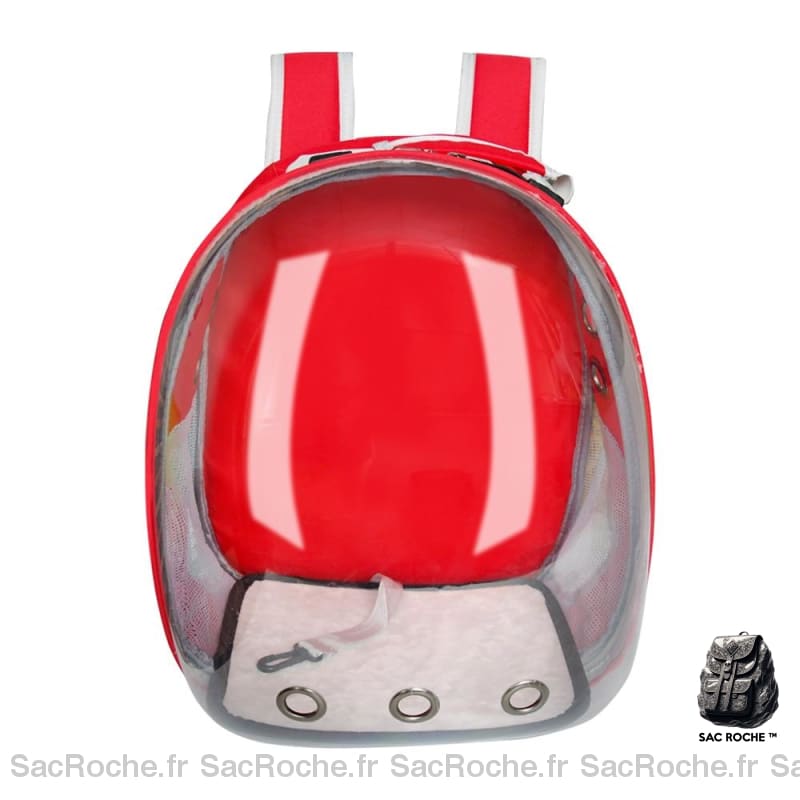 Sac à dos capsule spatiale transparente pour chat - Rouge - Chien chat sphynx