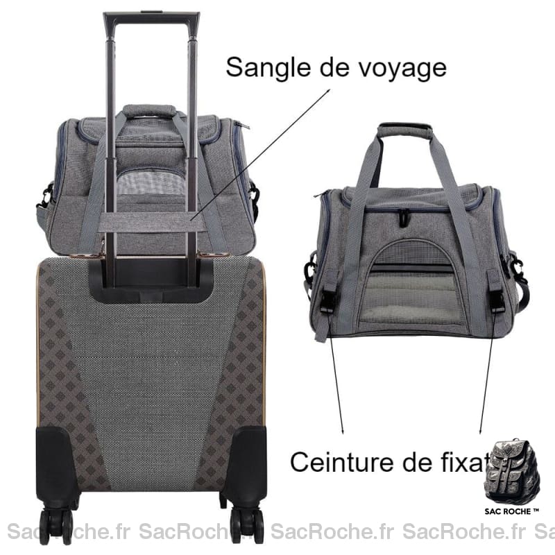 Sac Dos Maille Voyage Animaux À