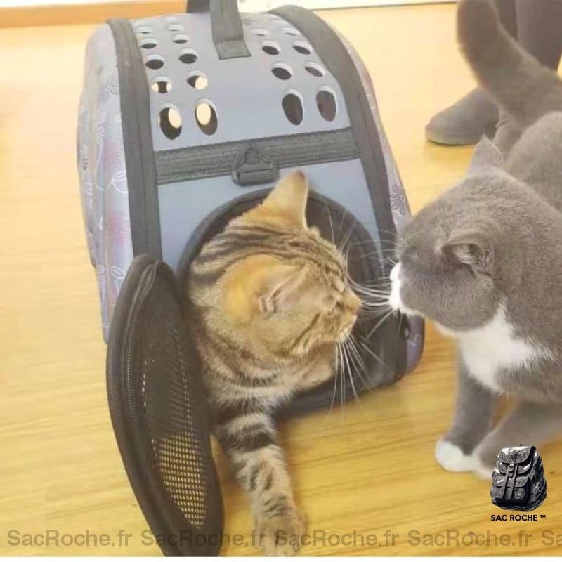 Sac À Bandoulière Chien Transport Dos Animaux