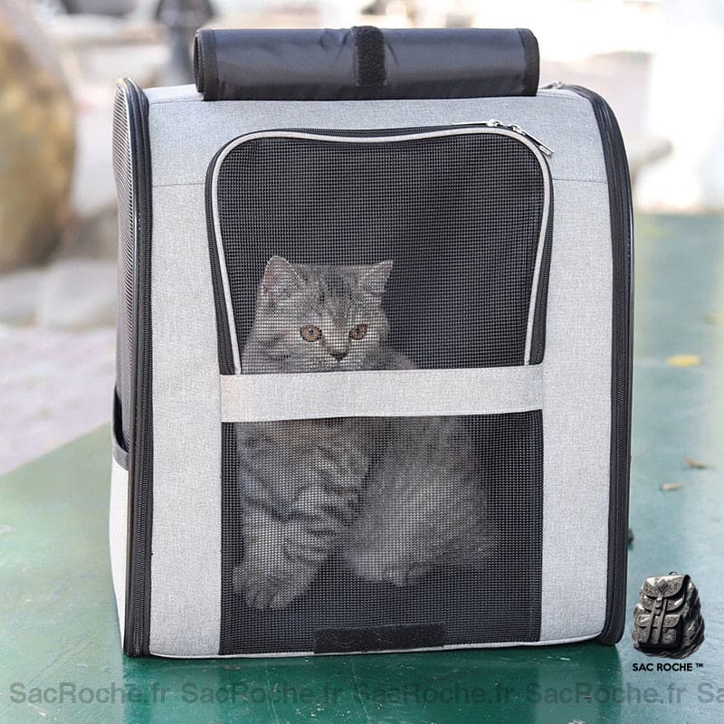 Sac À Dos Chat Rideau Animaux