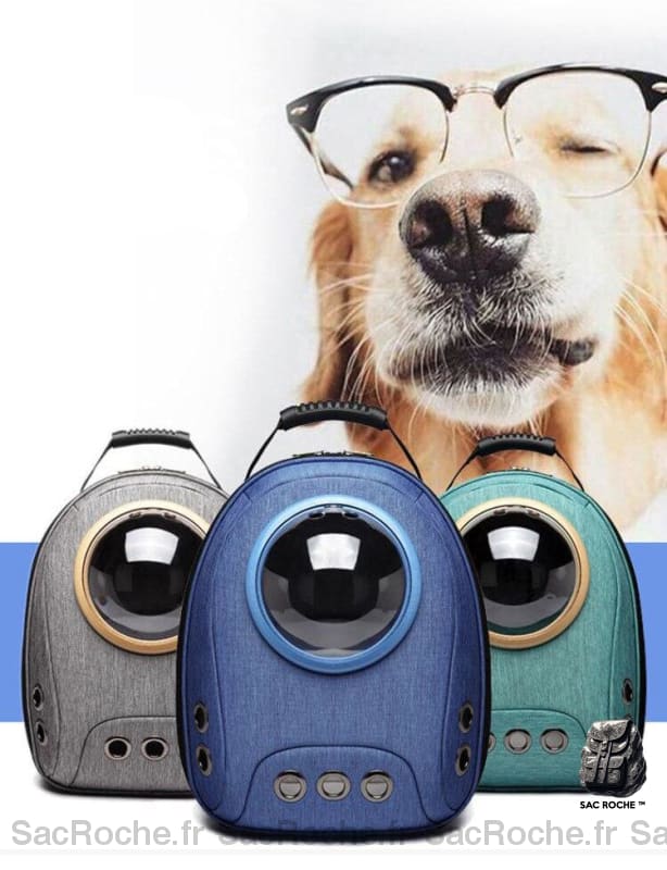 Sac À Dos Chat Transparent Animaux