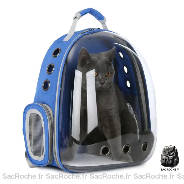 Sac À Dos Chat Transparent Bleu Sac