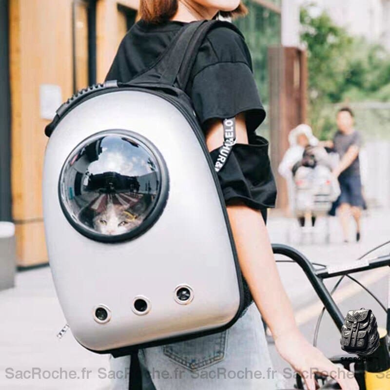 Sac À Dos Chat Transparent Respirant Animaux