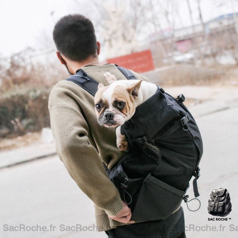 Sac À Dos Chien Avec Ouverture Animaux