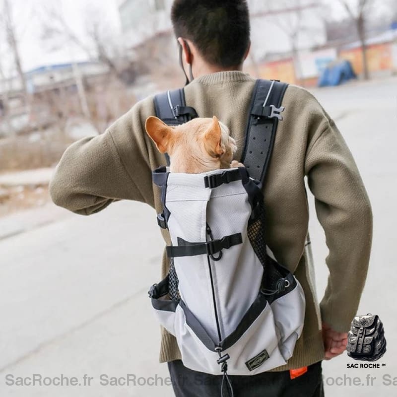 Sac À Dos Chien Avec Ouverture Animaux