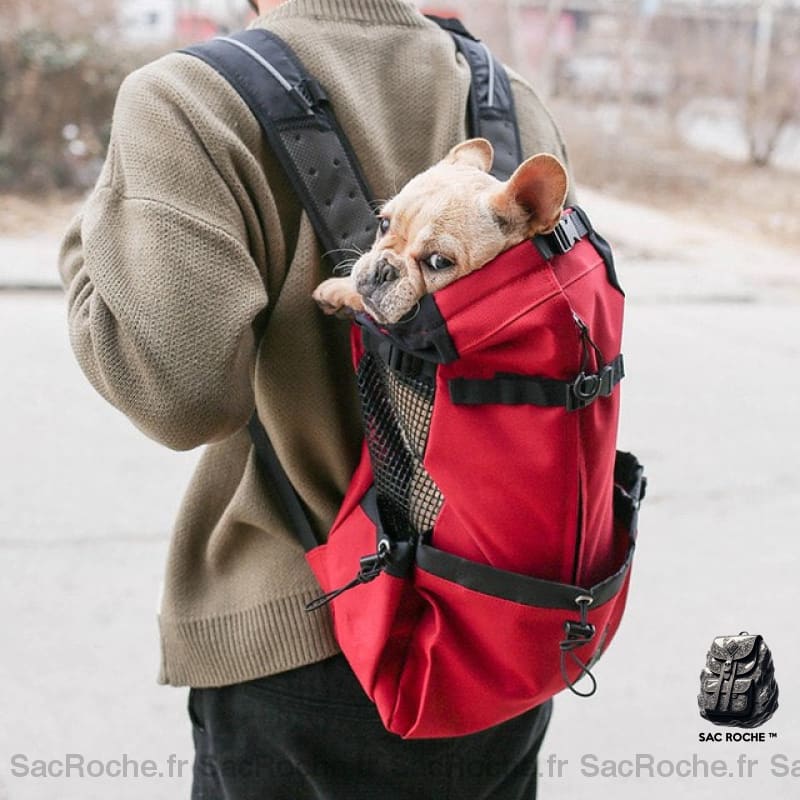 Sac À Dos Chien Avec Ouverture Animaux