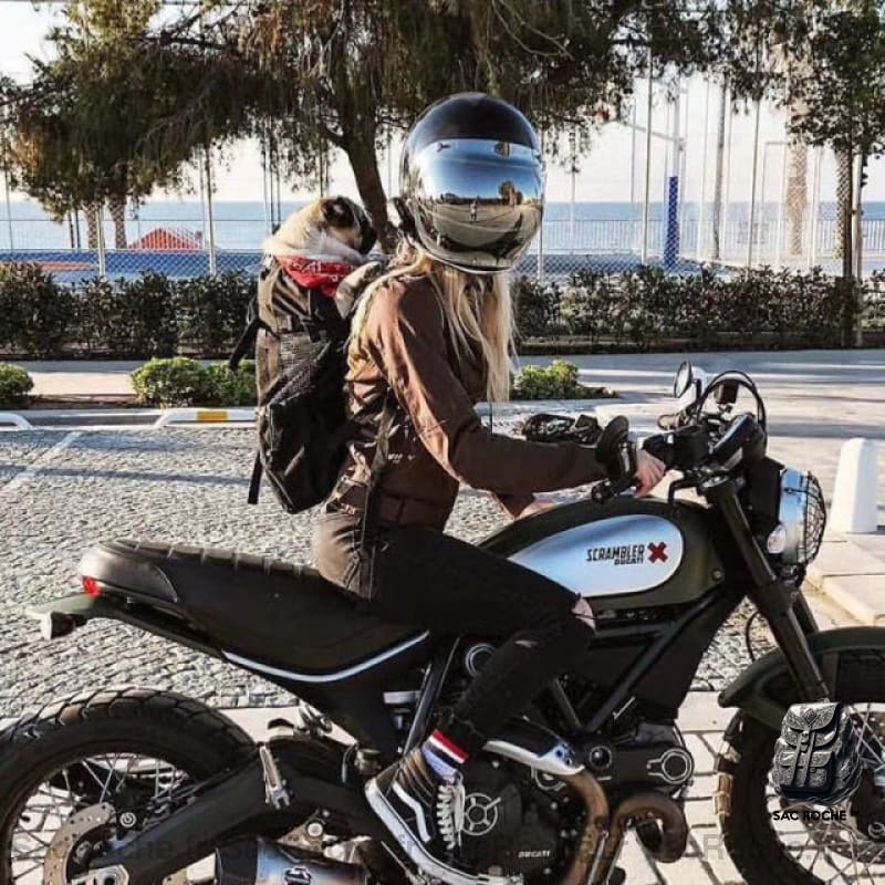 Sac À Dos Chien Avec Ouverture Animaux