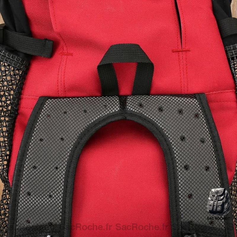 Sac À Dos Chien Avec Ouverture Animaux