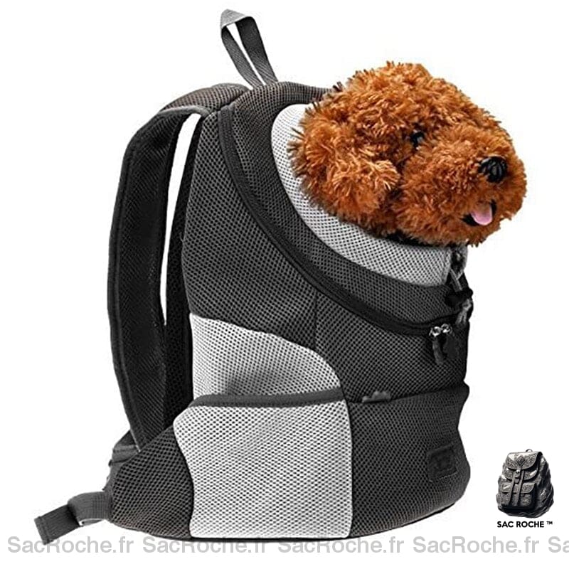 Sac À Dos Chien Double Épaule Promenade Animaux