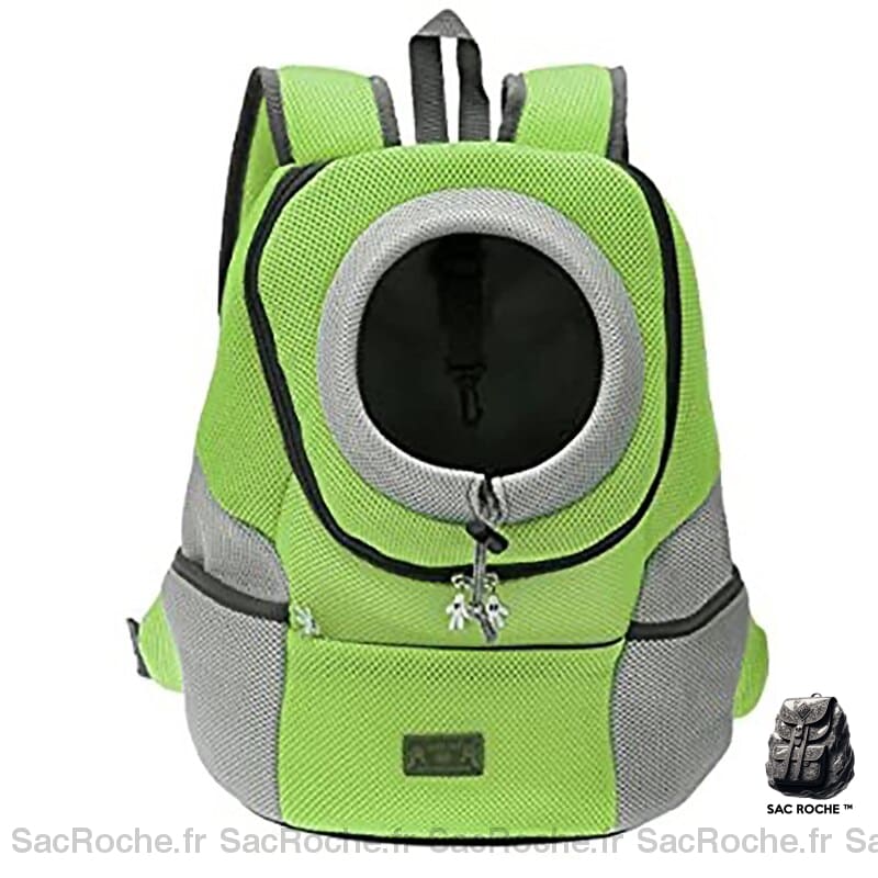 Sac à dos de promenade à double épaule pour chien - Vert, XL - Chien Chat