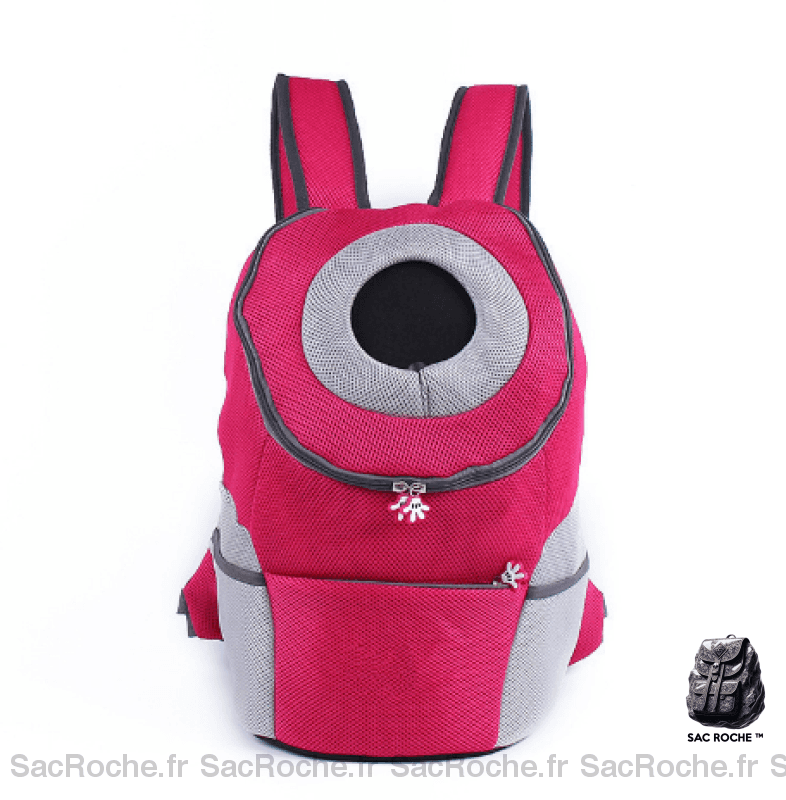 Sac à dos de promenade à double épaule pour chien, bonne qualité et à la mode