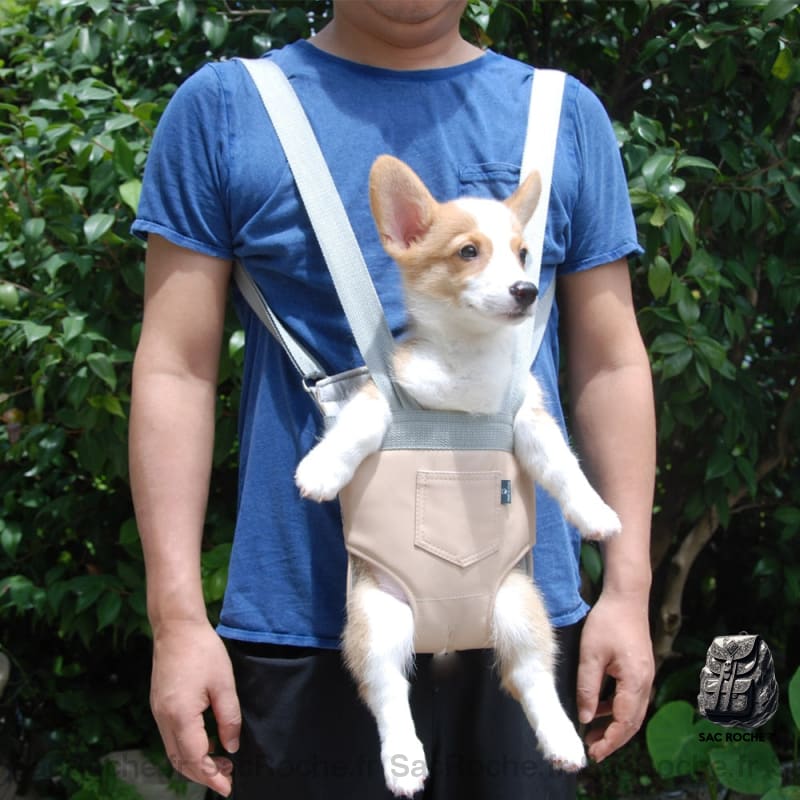 Sac À Dos Chien Réglable Plein Air Animaux