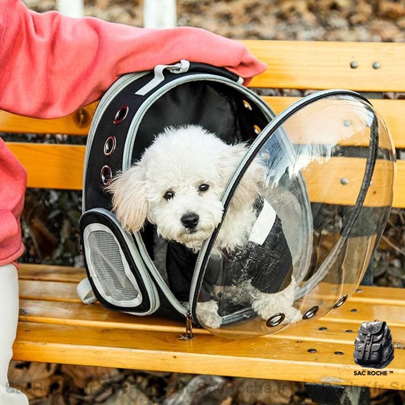 Sac À Dos Extensible Pour Voyager Avec Animaux