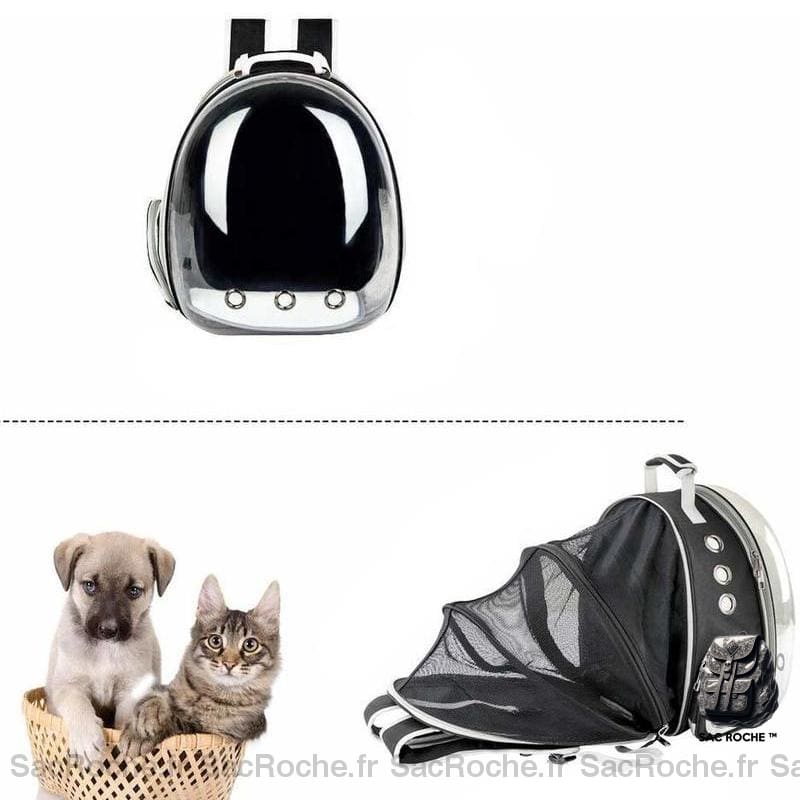 Sac À Dos Extensible Pour Voyager Avec Animaux