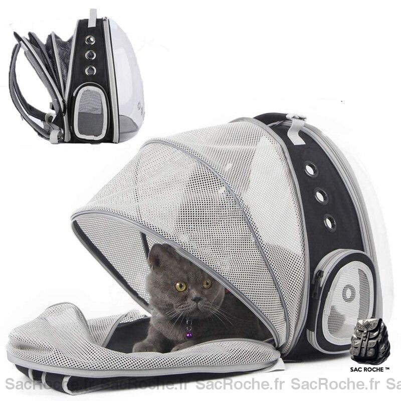 Sac À Dos Extensible Pour Voyager Avec Animaux