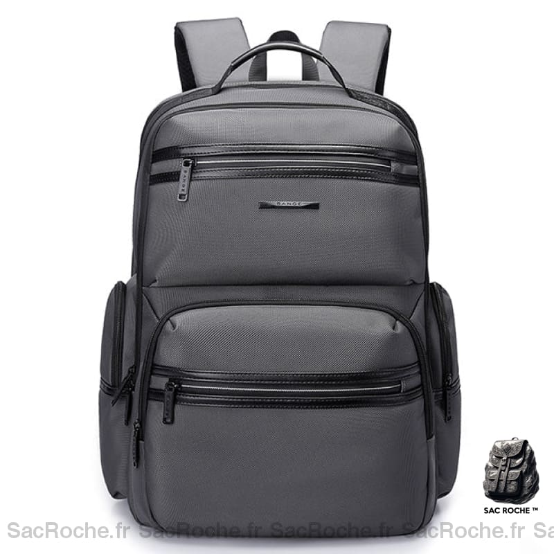 Sac À Dos Professionnel Pour Voyage Daffaire Gris Dos Voyage