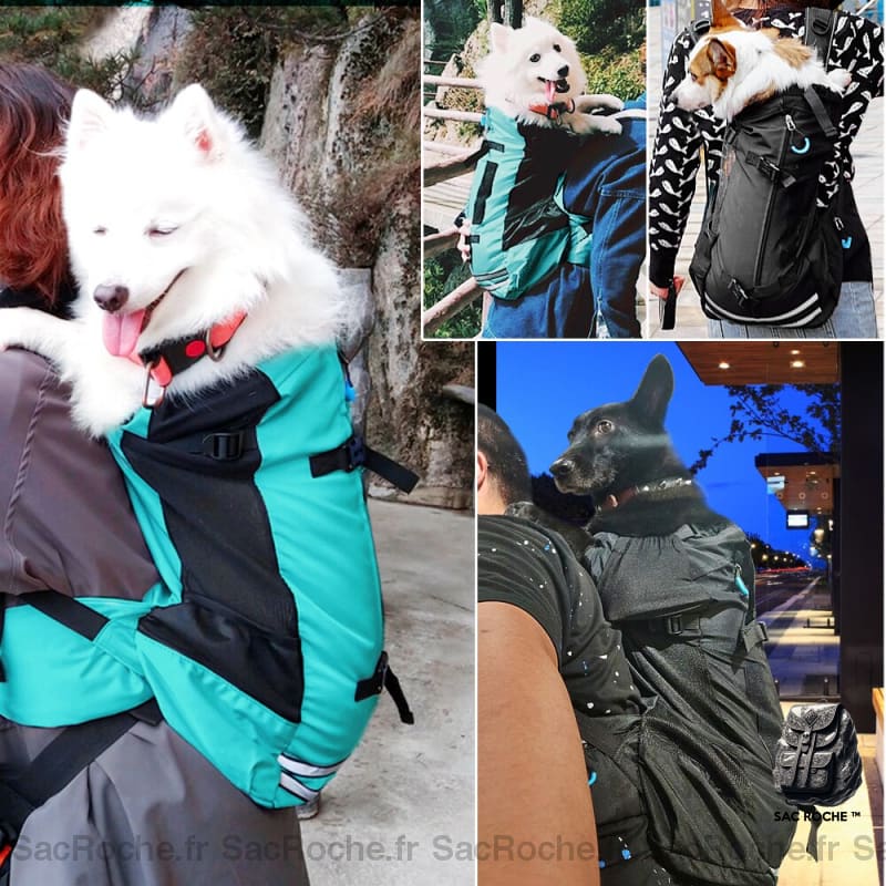 Sac À Dos Respirant Chien Grand Animaux