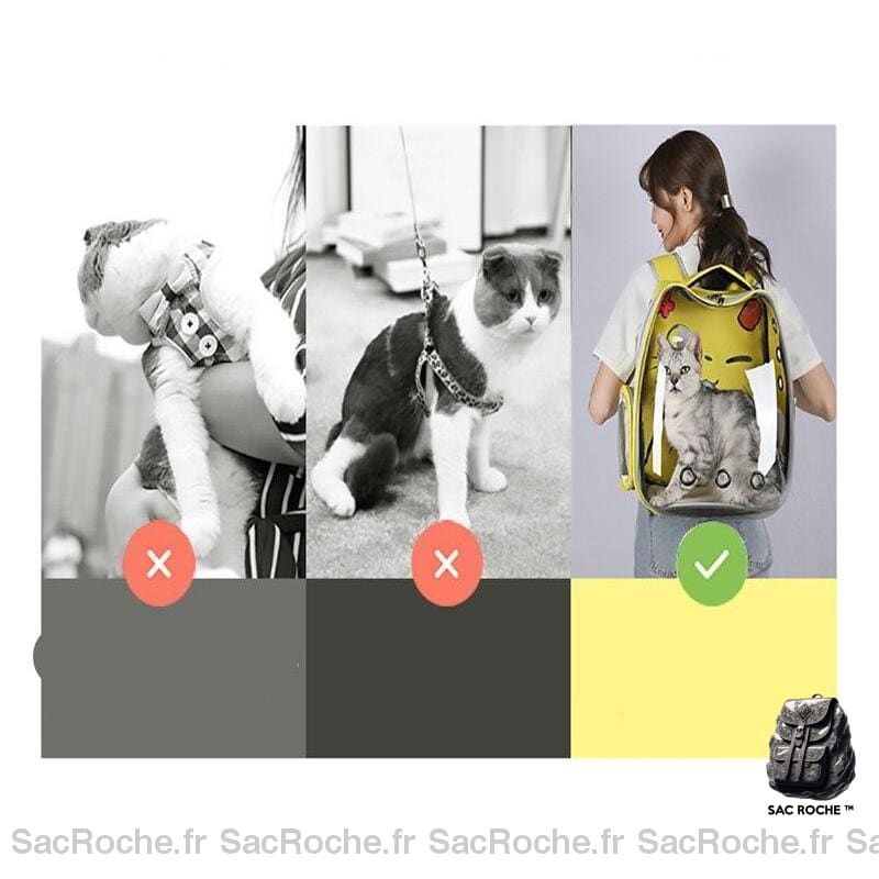 Sac À Dos Transparent Chat Dessin Animé Animaux