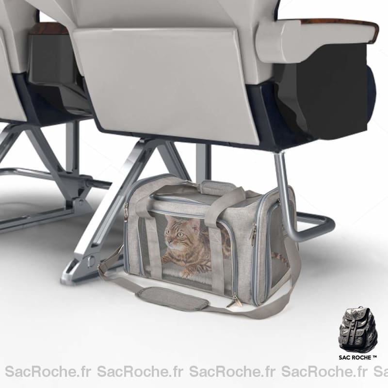 Sac À Dos Voyage Animal Compagnie Animaux