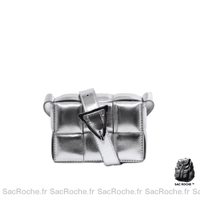 Sac à main Femme en cuir - modèle Argenté / 15x11x7cm - Sac Roche ™