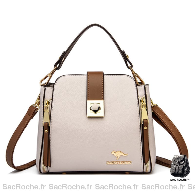 Sac À Main Femme Rétro Carré Beige Sac Main Femme