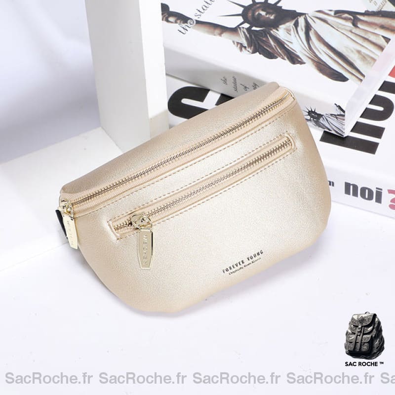 Sac Banane Cuir Rétro Look Doré Pochette Femme