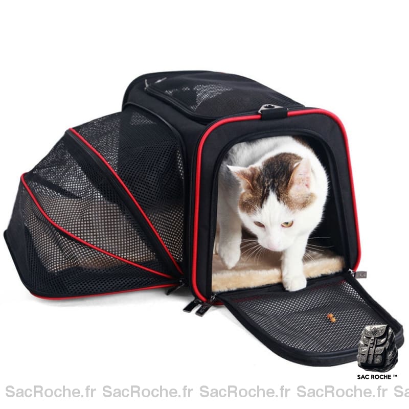 Sac Extensible Pour Animal De Compagnie À Dos Animaux