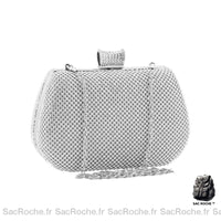 Sac Main Argenté Femme - Sac Roche ™