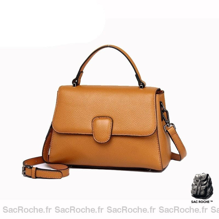 Sac Main Femme Automne 2021 Teddy Marron À