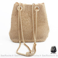 Sac Main Femme Dore Brillant - Sac Roche ™