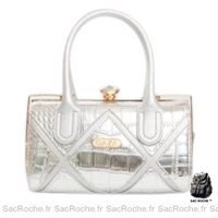Sac Main Femme Élégant - modèle Argenté / 23x14x14cm - Sac Roche ™