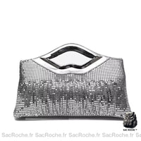 Sac Main Femme Luxe Vintage - modèle Argenté sequin - Sac Roche ™