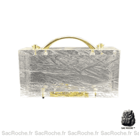 Sac Main Femme Mode 2022 - Sac Roche ™