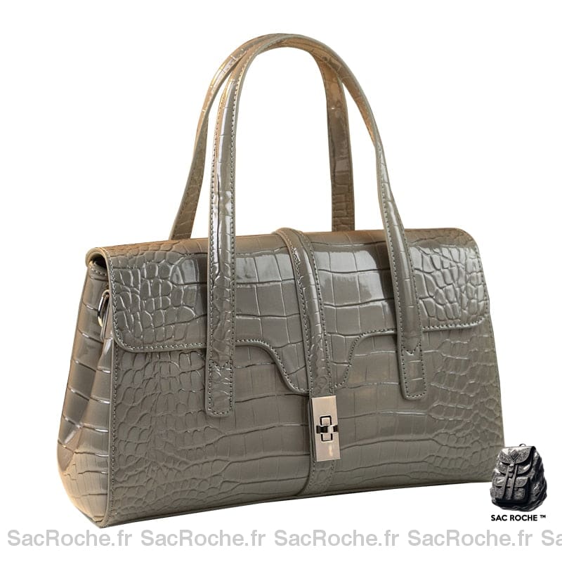 Sac Main Femme Tendance 2023 Gris À