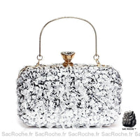 Sac Soirée Femme - modèle Argenté - Sac Roche ™