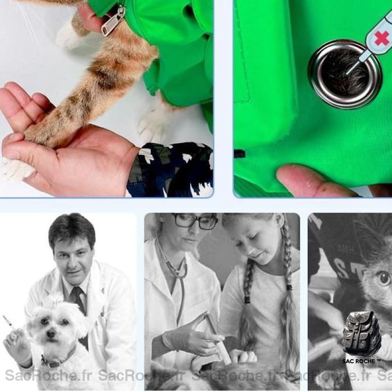 Sac Transport Chat Tendance À Dos Homme