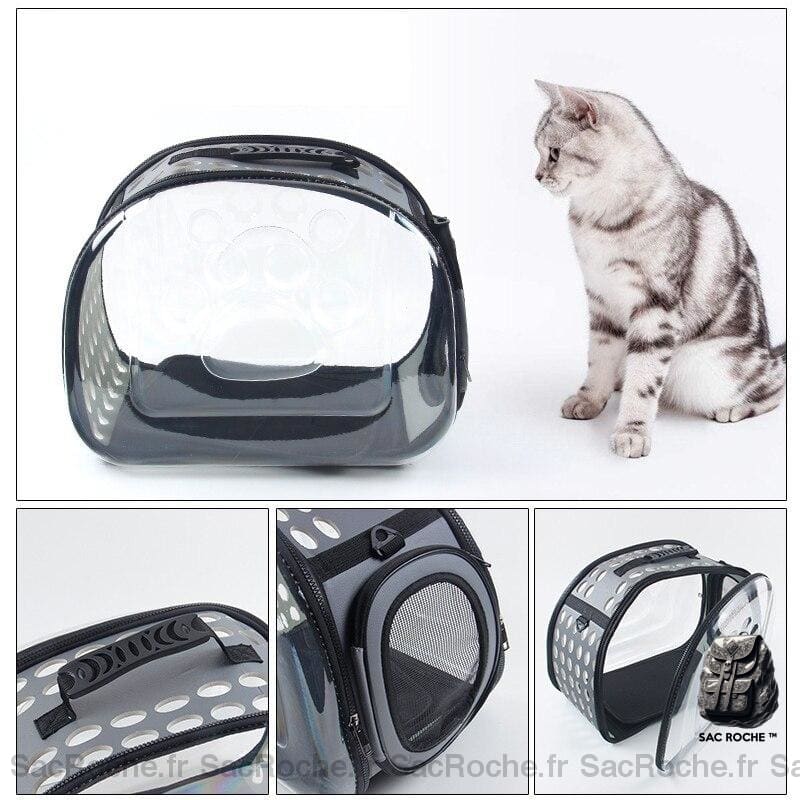 Sac Transport Transparent Chien Chat À Dos Homme