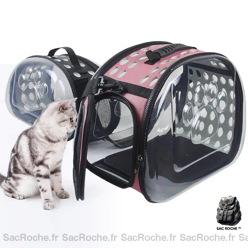 Sac Transport Transparent Chien Chat À Dos Homme
